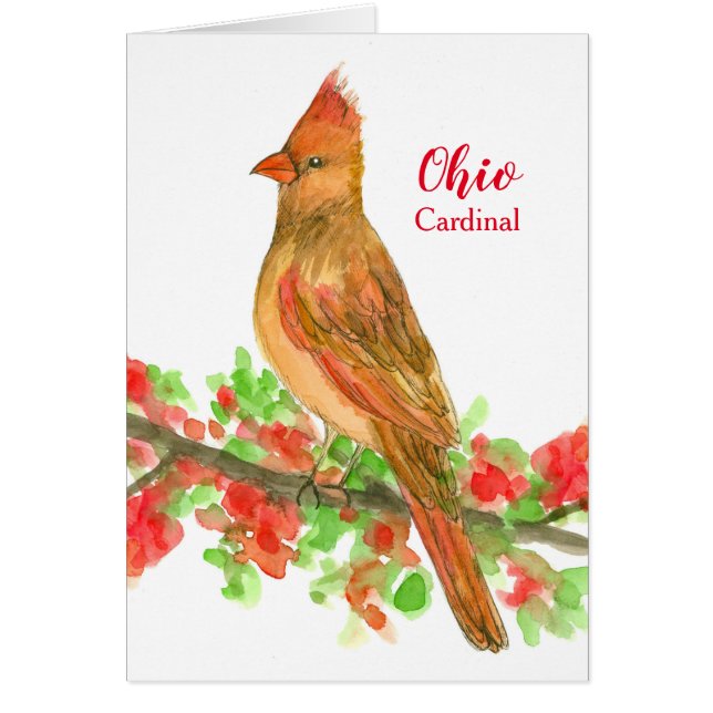 Oiseau d'État noir du cardinal de l'Ohio (Devant)