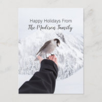 Oiseau D'Hiver Sur La Carte De Noël De Neige