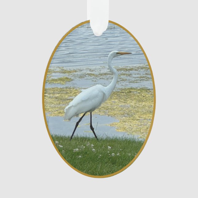 Oiseau du lac Egret (devant)