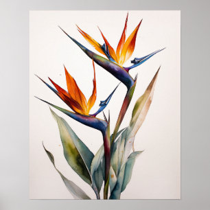 Oiseau Du Paradis Art Imprimer Poster