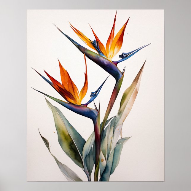 Oiseau Du Paradis Art Imprimer Poster (Devant)