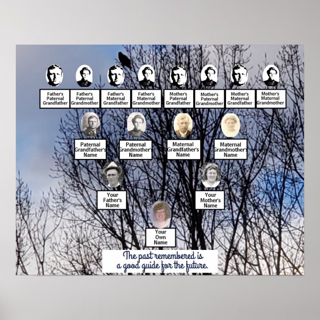 Oiseau en hiver Photo Poster de l'arbre généalogiq (Devant)