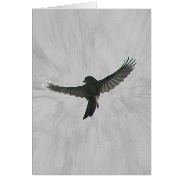 Oiseau en vol (Devant)