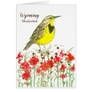 Oiseau Fleur sauvage de Meadowlark dans le Wyoming
