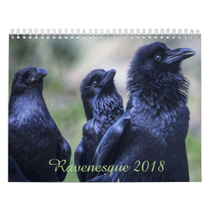 Oiseau magique 2018 de Ravenesque calendrier de 18