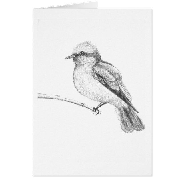 Oiseau mignon qui attrape chacun attention (Devant)