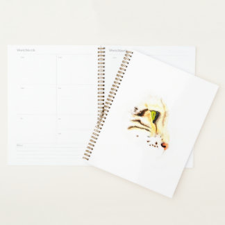 Oiseau mow mow à observer