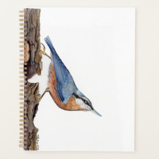 Oiseau Nuthatch (Sitta Europaea)