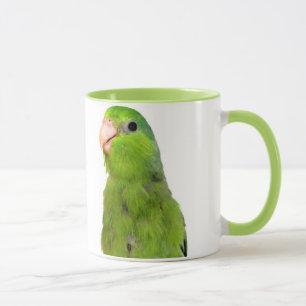 Oiseau Pacifique vert de Parrotlet tasse de tasse