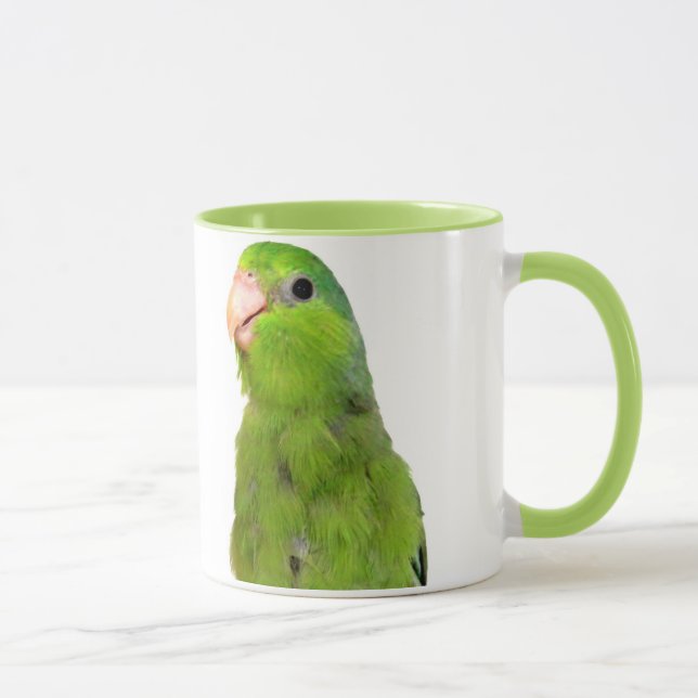 Oiseau Pacifique vert de Parrotlet tasse de tasse (Droite)