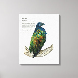 Oiseau peint à la main Imprimer sur toile