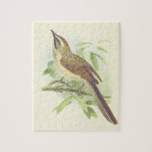 Oiseau perché sur un puzzle de branche d'arbre