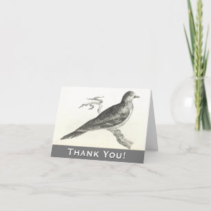 Oiseau perché sur une carte de voeux Merci de bran