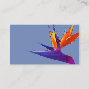 Oiseau pourpre de carte de visite de paradis