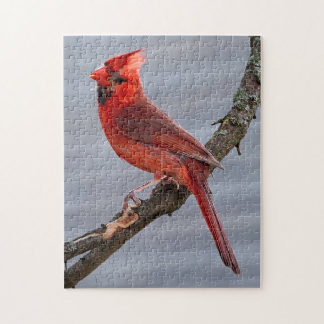 Oiseau rouge du Puzzle d'été (Vertical)
