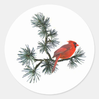 Oiseau rouge sur des bâtons de pin Autocollants