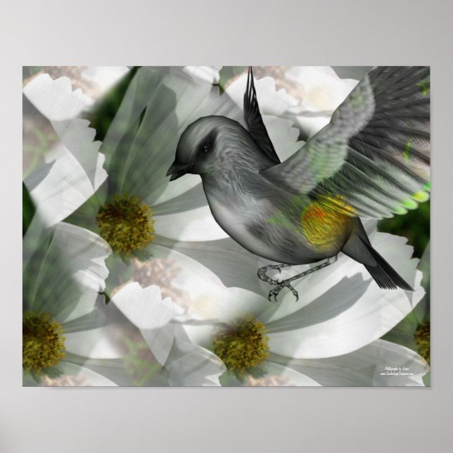 Oiseau sur blanc Cosmos Imaginaire Art Poster (Devant)