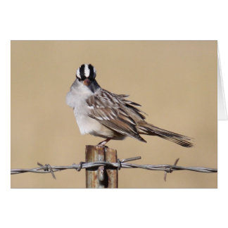 Oiseau sur un fil