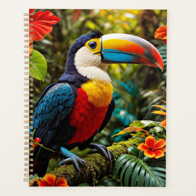 Oiseau Toucan coloré (Devant)