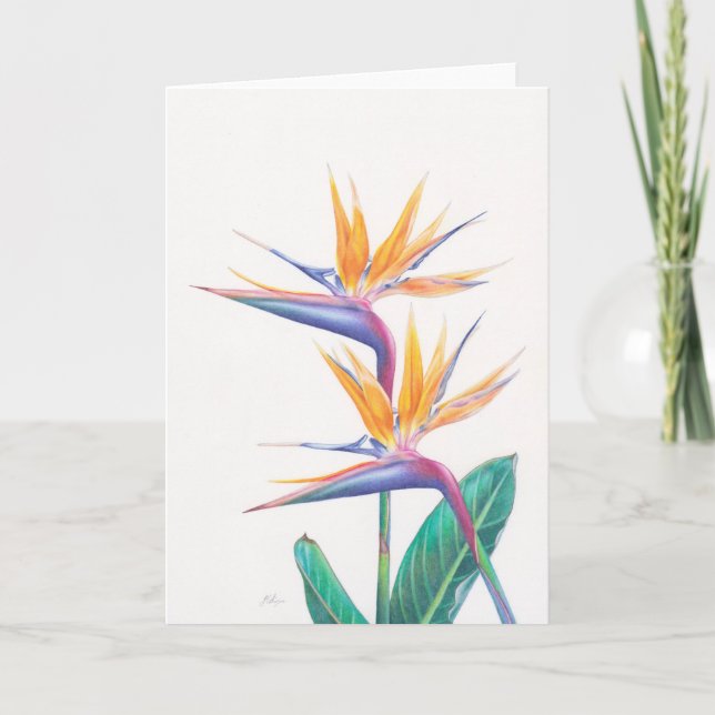 Oiseau tropical de carte de voeux de fleurs de (Devant)