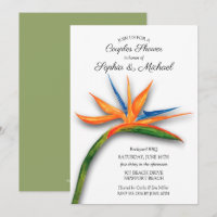 Oiseau tropical des couples de paradis Invitations