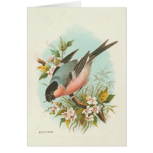 Oiseau vintage (Devant)