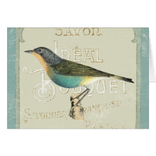 Oiseau vintage faisant face à la gauche