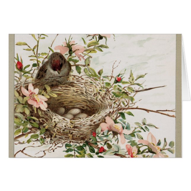 Oiseau vintage surveillé (Devant Horizontal)
