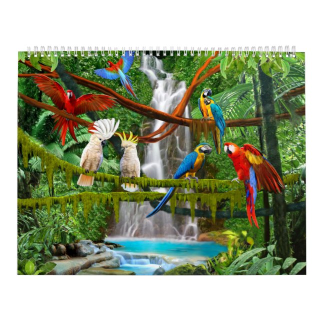 OISEAUX #1 DE CALENDRIER (Protection)