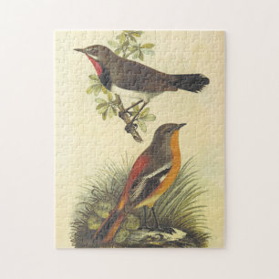 Oiseaux à la branche, Oiseaux au puzzle du sol