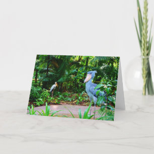 Oiseaux à la carte de voeux de zoo de Singapour