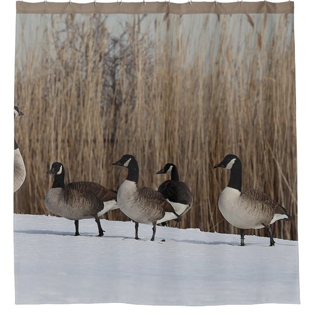 Oiseaux aquatiques d'oies sur le rideau en douche (Devant)