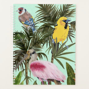 Oiseaux au paradis
