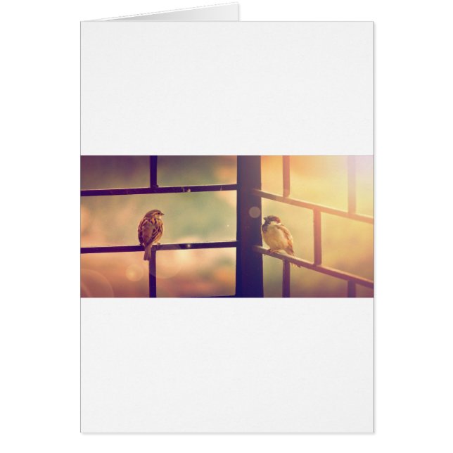 Oiseaux au soleil couchant (Devant)