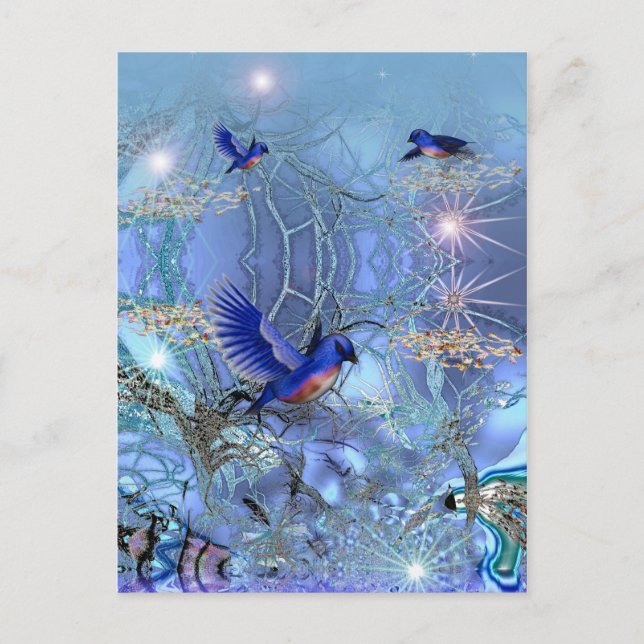 Oiseaux bleus de carte postale (Devant)