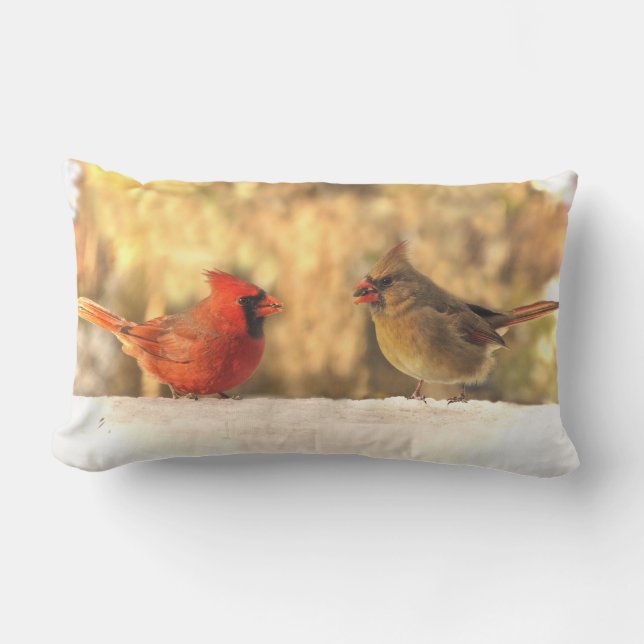 Oiseaux cardinaux dans le coussin extérieur animal (Recto)