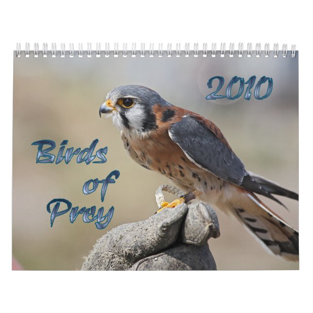 Oiseaux de calendrier de la proie 2010 (Protection)