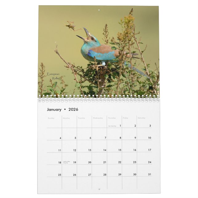 Oiseaux de calendrier de la Tanzanie (Jan 2026)