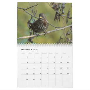Oiseaux de calendrier de l'Amérique du Nord 2019