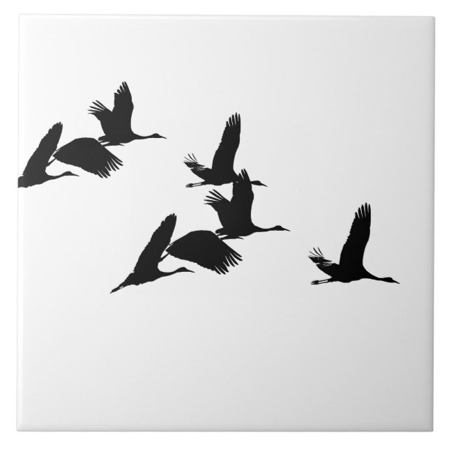 Oiseaux de grue de Sandhill pilotant le carreau de (Devant)