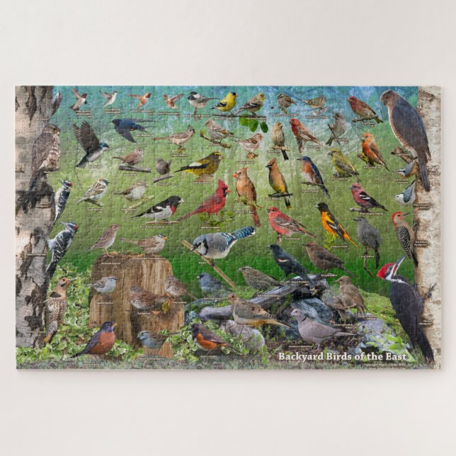 Oiseaux de jardin de puzzle oriental de l'Amérique (Horizontal)