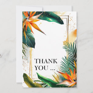 Oiseaux de Merci de Paradise Bliss