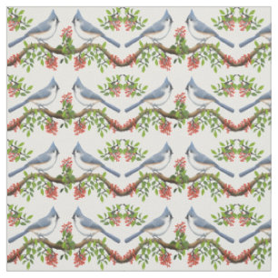 Oiseaux de mésange tuftée avec le tissu de baies