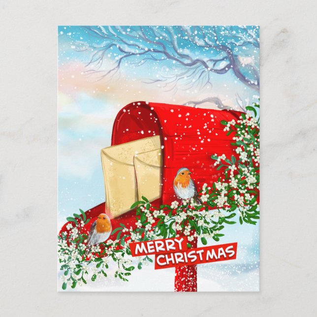 Oiseaux de Noël d'hiver Une boîte rouge Cartes pos (Devant)