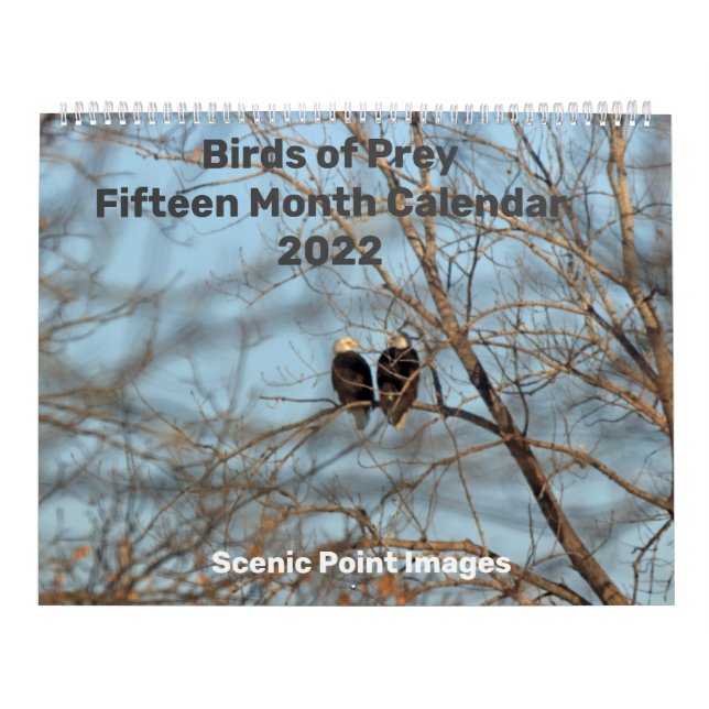 Oiseaux de Prey 2022 Calendrier des Quinze Mois (Protection)