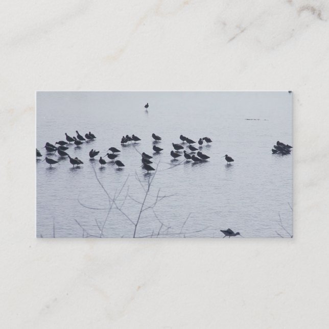 oiseaux de rivage sur un carte de visite lacustre (Devant)