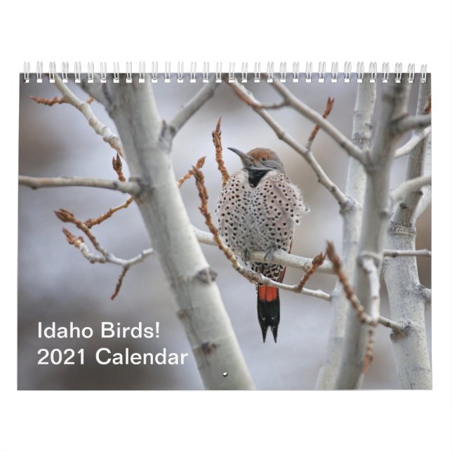 Oiseaux d'Idaho ! Calendrier 2021 (Protection)