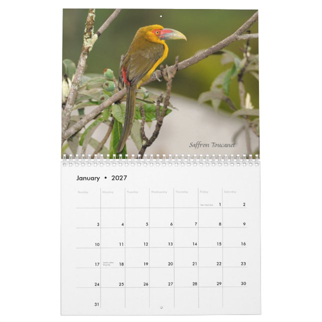 Oiseaux du calendrier atlantique de la forêt du (Jan 2027)