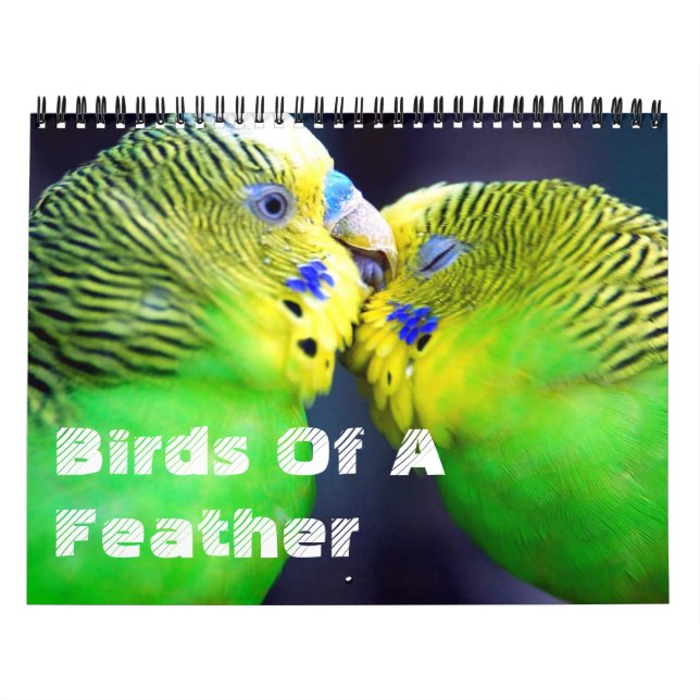 Oiseaux D'Un Calendrier De Plume (Protection)