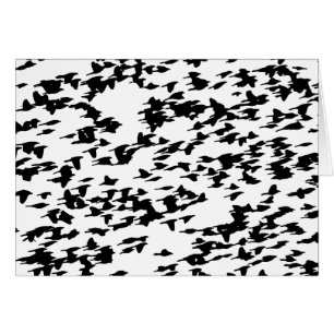 Oiseaux en vol